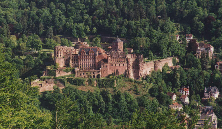 Blick auf die Heidelberger Schloß Ruine 82kb
