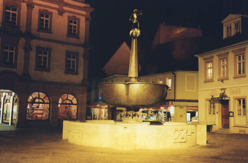 Brunnen Speyer Fußgängerzone bei Nacht 63kb